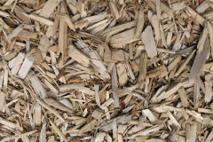 biomass boilers Fintona